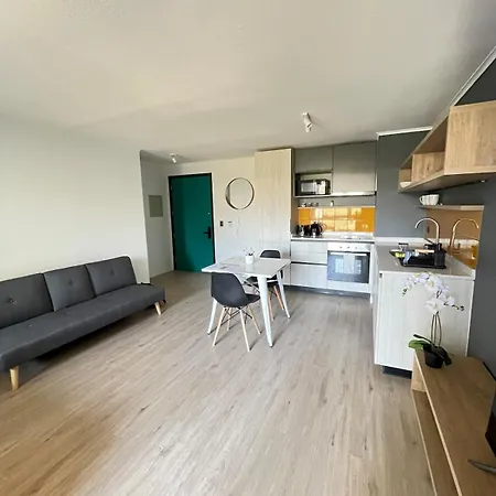Appartamento Moderno Departamento Proximo A Metro Y Barrio Italia Nunoa
